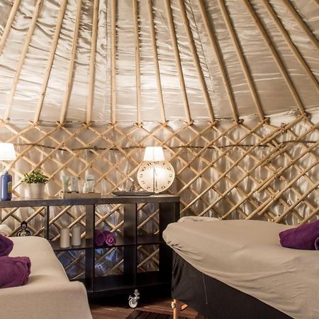 YurtLife Bed and Breakfast Zaandam Eksteriør billede